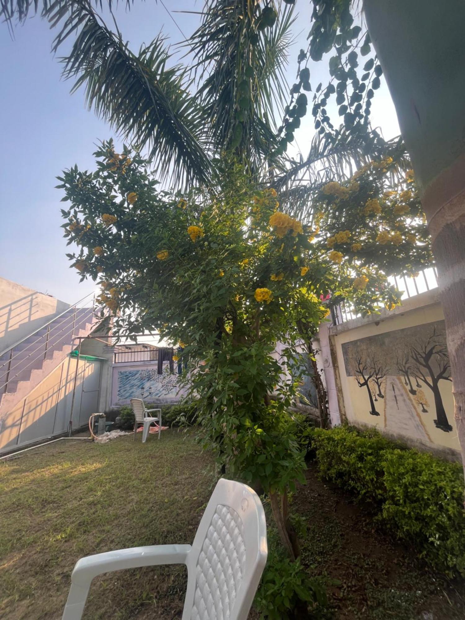 Sunrise Bed & Breakfast Khajurāho Exterior foto